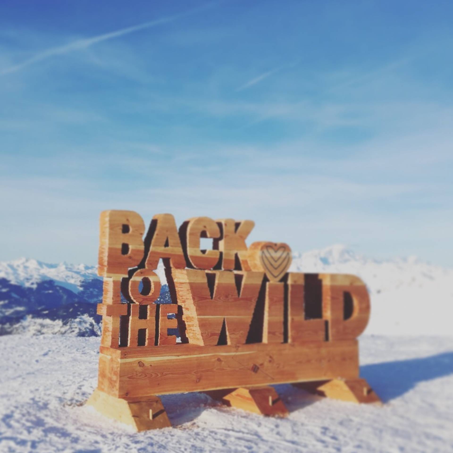 Enseigne Bois Back To The Wild Les 3 vallees Meribel Courchevel