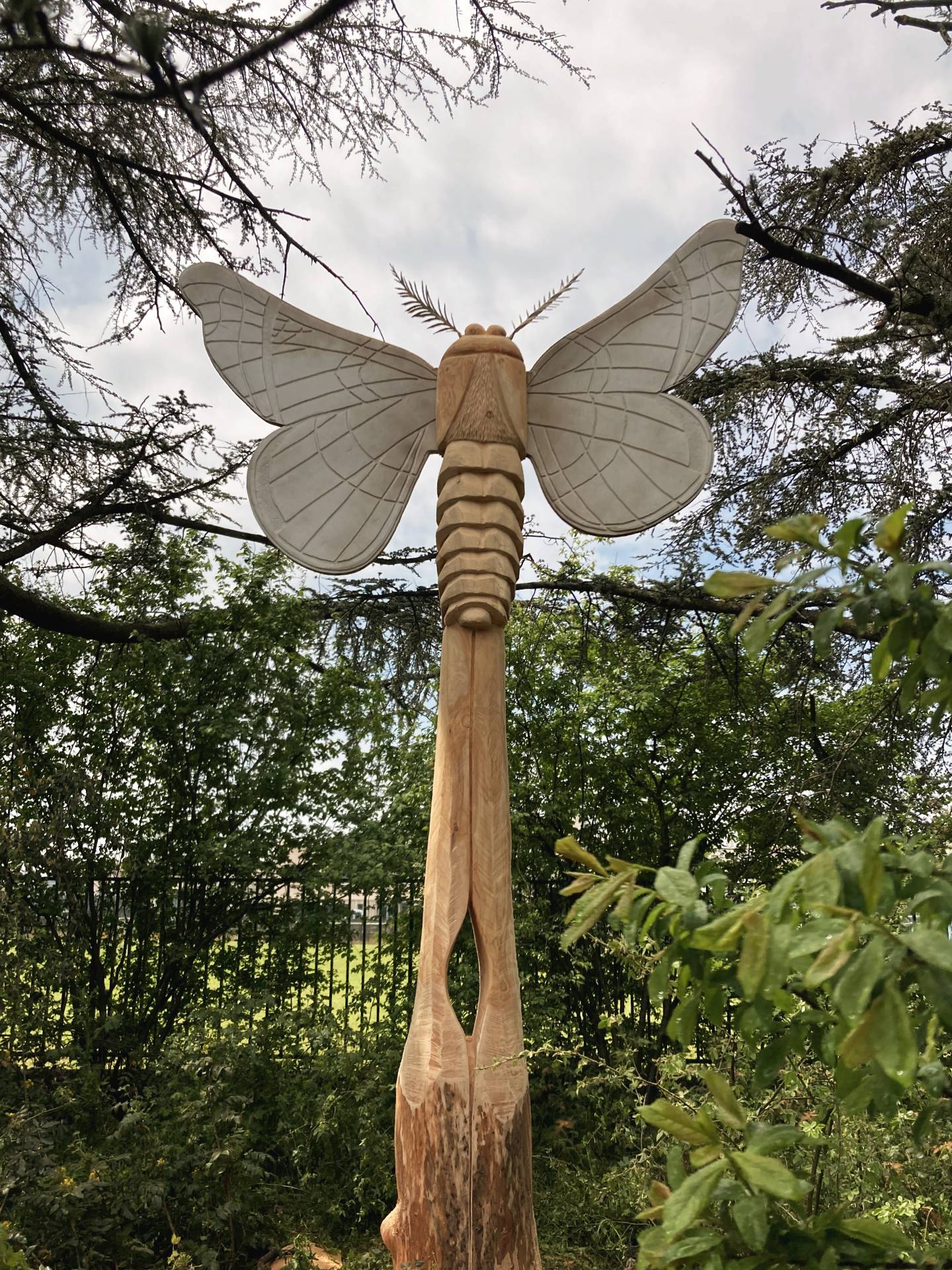 Sculpture Bois Papillon Parc Urbain Lyon